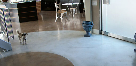 polished concrete coatings polished concrete coatings